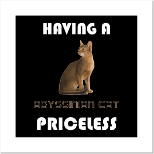 Having a Abyssinian Cat Priceless Posters and Art